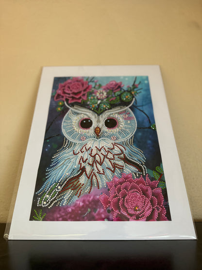 Beautiful Owl Diamond art